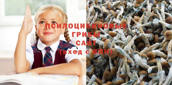 ALPHA-PVP Армянск