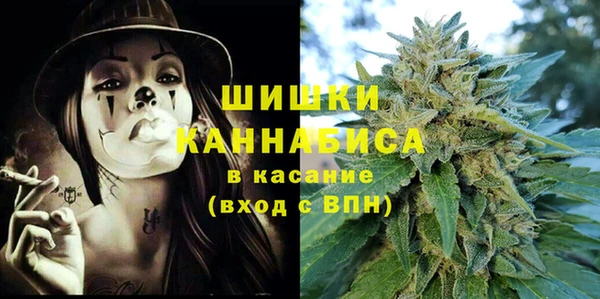 стаф Арсеньев