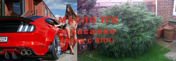 стаф Арсеньев